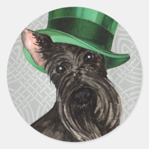 Adesivo Scottish Terrier do dia de St Patrick