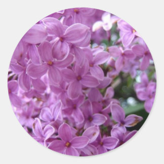 Adesivo Sdlilac