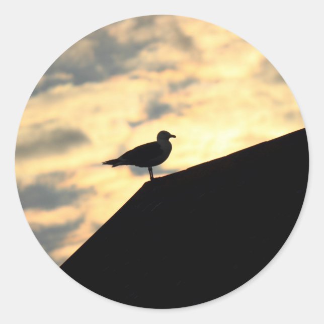 Adesivo Sea Gull Sunset (Frente)