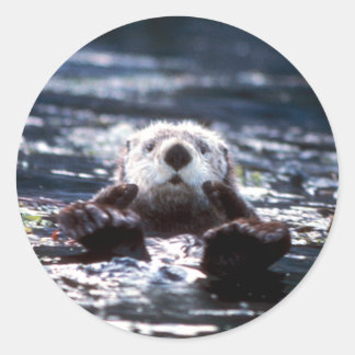 Adesivo Sea Otter Natação