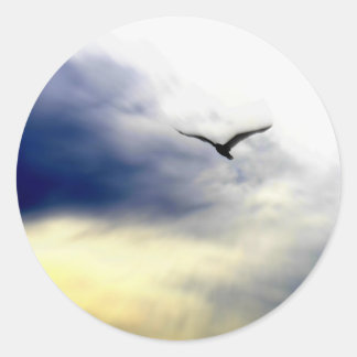 Adesivo Seagull