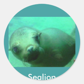 Adesivo Sealion