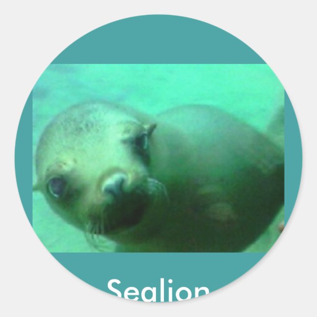 Adesivo Sealion (Frente)