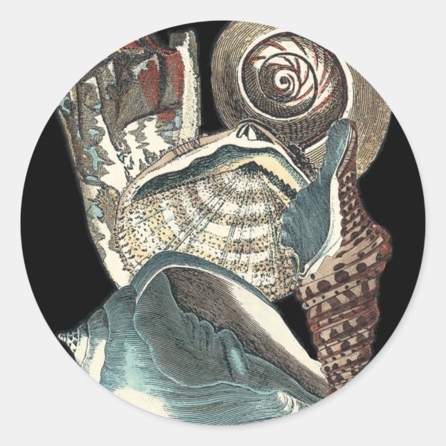 Adesivo Seashell Anthology (Frente)