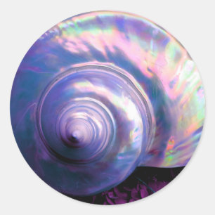 Adesivo Seashell tropical opal mãe de pérola parece roxa