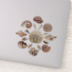 Adesivo Seashells Collection Mandala