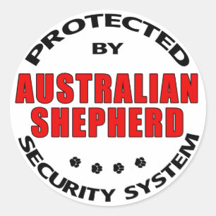 Adesivo Segurança de Pastores Australianos