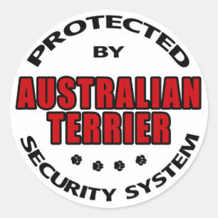 Adesivo Segurança Terrier australiana