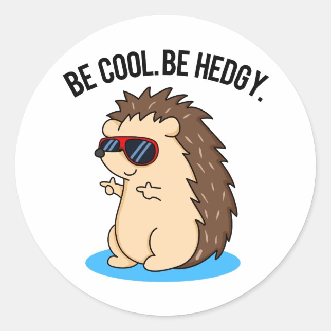 Adesivo Seja Legal, seja engraçado, Hedgehog Pun. (Frente)