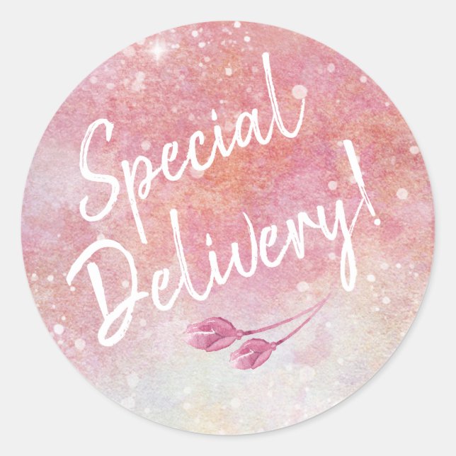 Adesivo Selagens de Envelope de Entrega Especial de Cores  (Frente)