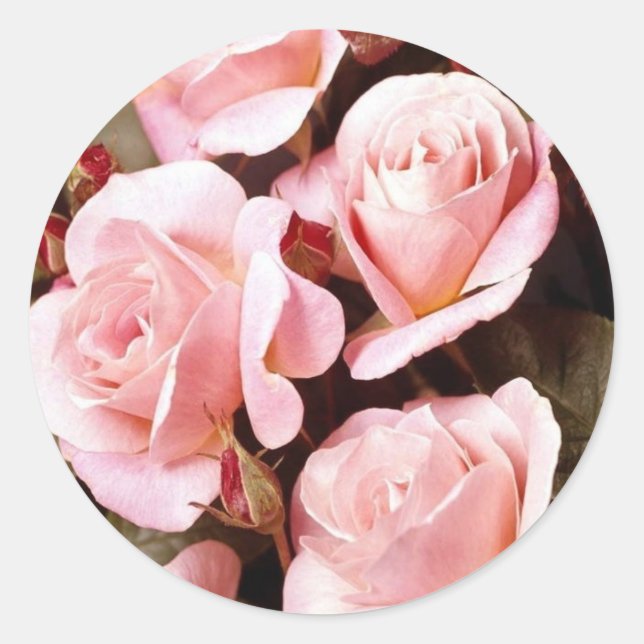 Adesivo Selagens de envelopes (Frente)