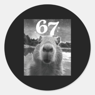 Adesivo Selfie de Capivara Com 67 Meme Capy Gráfico Para H