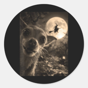 Adesivo Selfie de Chihuahua Engraçado Bruxaria Voadora Lua