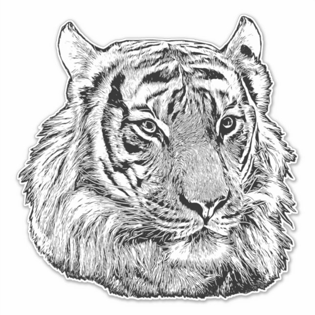 Adesivo Selgle Tiger Face safari (Frente)