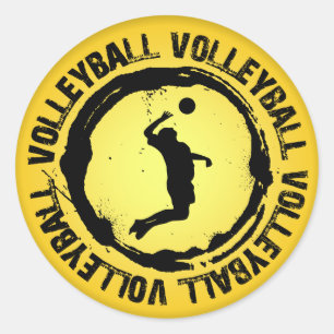 Adesivo Selo agradável do voleibol (homem)