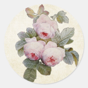 Adesivo Selo cor-de-rosa do envelope de Bourbon do vintage