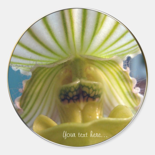 Adesivo Selo de Casamento da Orquídea de Verde limão com s (Frente)