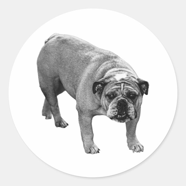 Adesivo Selo de Envelopamento Bulldog (Frente)