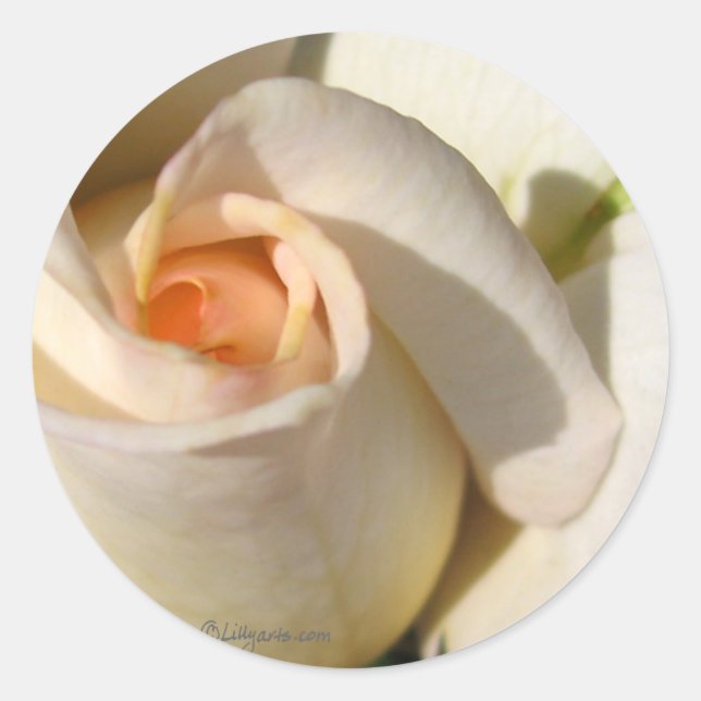 Adesivo Selo de Envelope de Casamento de rosa bud (Frente)