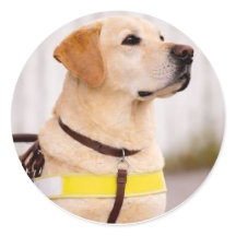 Selo de Envelope de Formatura de Cão Guia Labrador