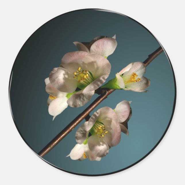 Adesivo Selo de Envelope Flor de Árvore (Frente)