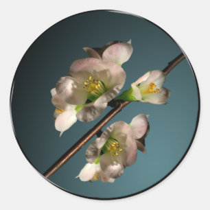 Adesivo Selo de Envelope Flor de Árvore