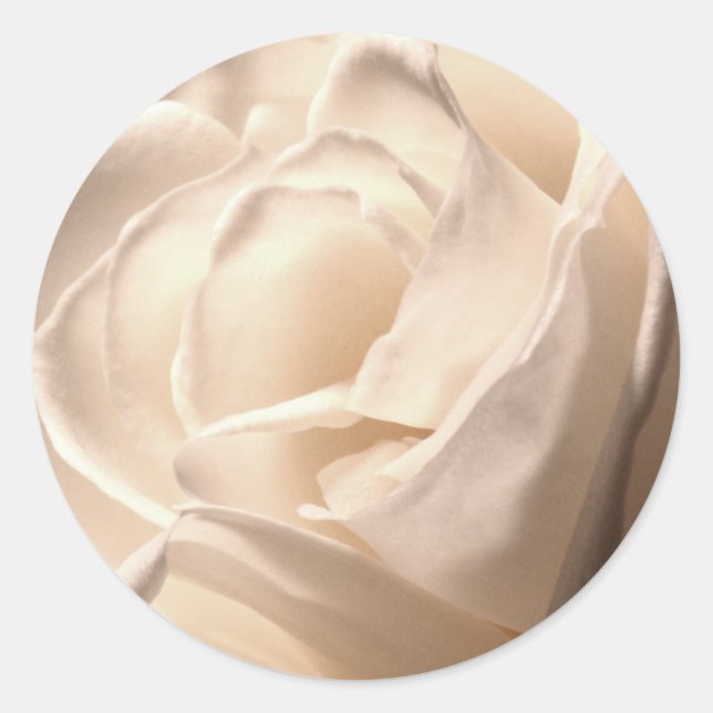 Adesivo Selo de Envelope Rosa Branco Grande (Frente)