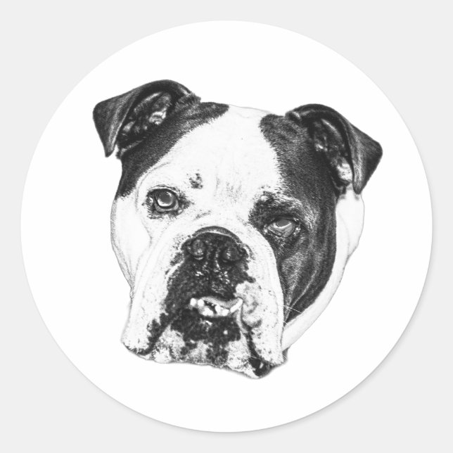 Adesivo Selo de Envelopes Bulldog (Frente)