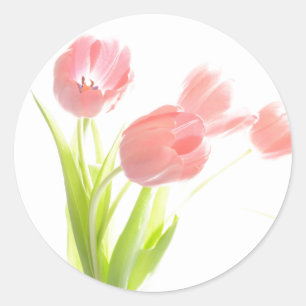 Adesivo Selo de Flores de Tulipa Rosa Floral