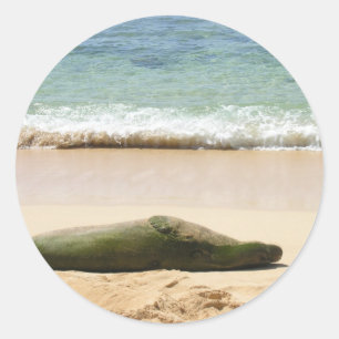 Adesivo Selo de relaxamento da monge