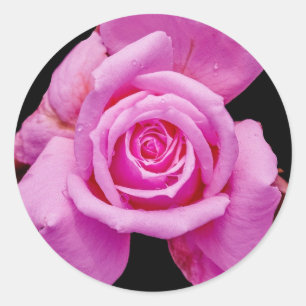 Adesivo Selo de rosa de convite de casamento elegante
