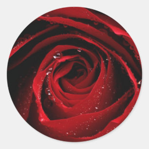 Adesivo Selo do envelope da rosa vermelha