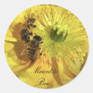 Adesivo Selos amarelos do convite das flores para