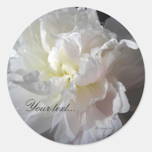 Adesivo Selos de Convite para Casamento de Flores Brancas