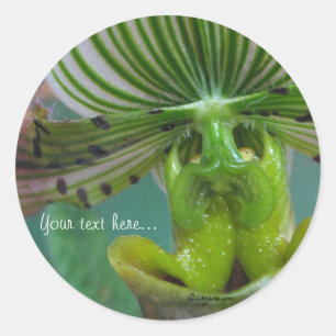 Adesivo Selos de Convite para Orquídea de Orquídea Verde