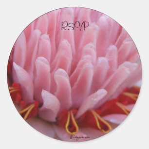 Adesivo Selos de Envelope de Casamento de Tocha Rosa