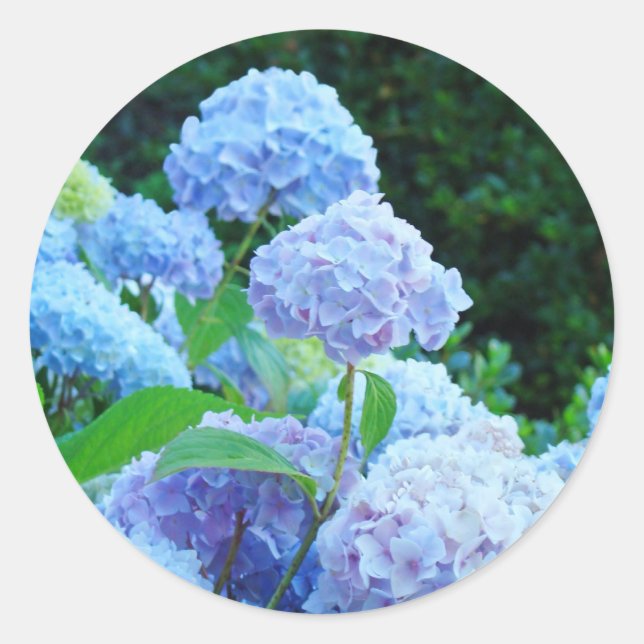 Adesivo Selos de envelope de casamento Flores de Hortênsia (Frente)