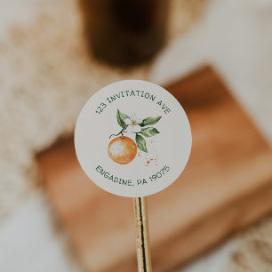 Adesivo Selos de Envelope de Endereço de Devolução Citrus