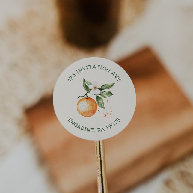 Adesivo Selos de Envelope de Endereço de Devolução Citrus  (Criador carregado)