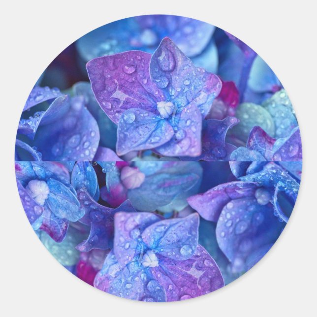 Adesivo selos de envelope Hydrangea (Frente)