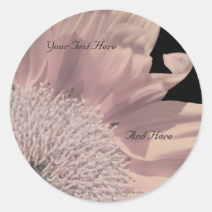 Adesivo Selos de Envelopes Personalizados de Gerbera Rosa
