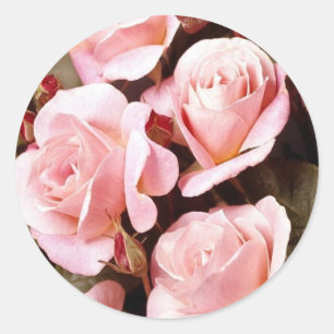 Adesivo Selos do envelope