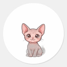 Sem Cabelo e Sem Medo — Mãe Sphynx
