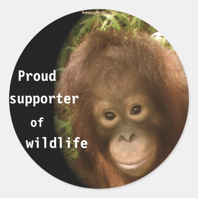 Adesivo Sem negócios com macacos (Frente)