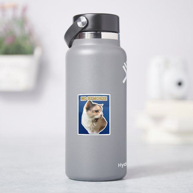 Adesivo Sem Remorso (HidroFlask)