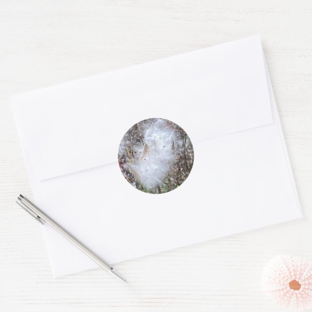 Adesivo Sementes de Milkweed e Seda (Envelope)