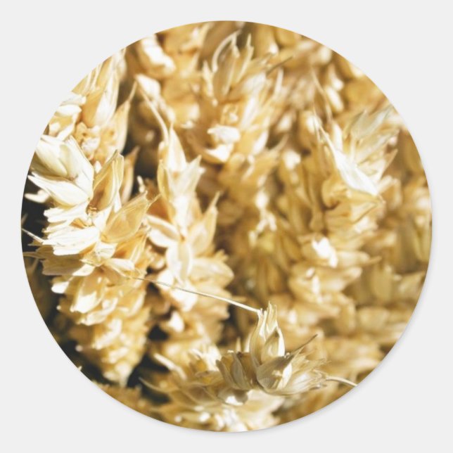 Adesivo Sementes De Planta De Grãos (Frente)