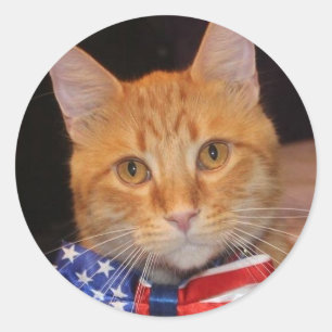 Adesivo Senhor presidente Amor Etiqueta!