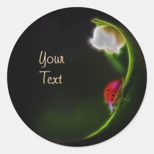 Adesivo Senhora do Vale