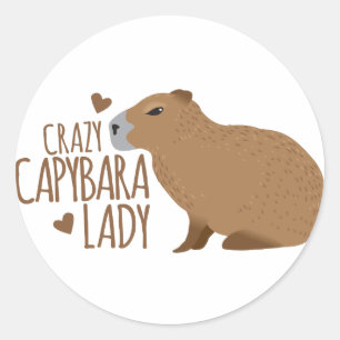 Adesivo senhora louca do capybara